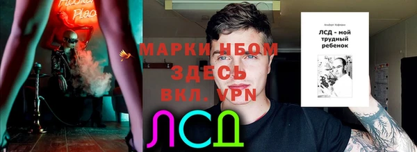 крисы Медвежьегорск