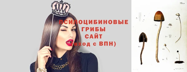твердый Мегион