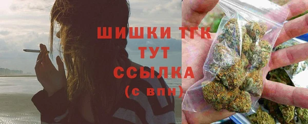 твердый Мегион