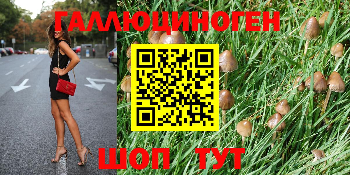 магазин продажи наркотиков  Псилоцибиновые грибы прущие грибы  Коряжма  Галлюциногенные грибы Cubensis 