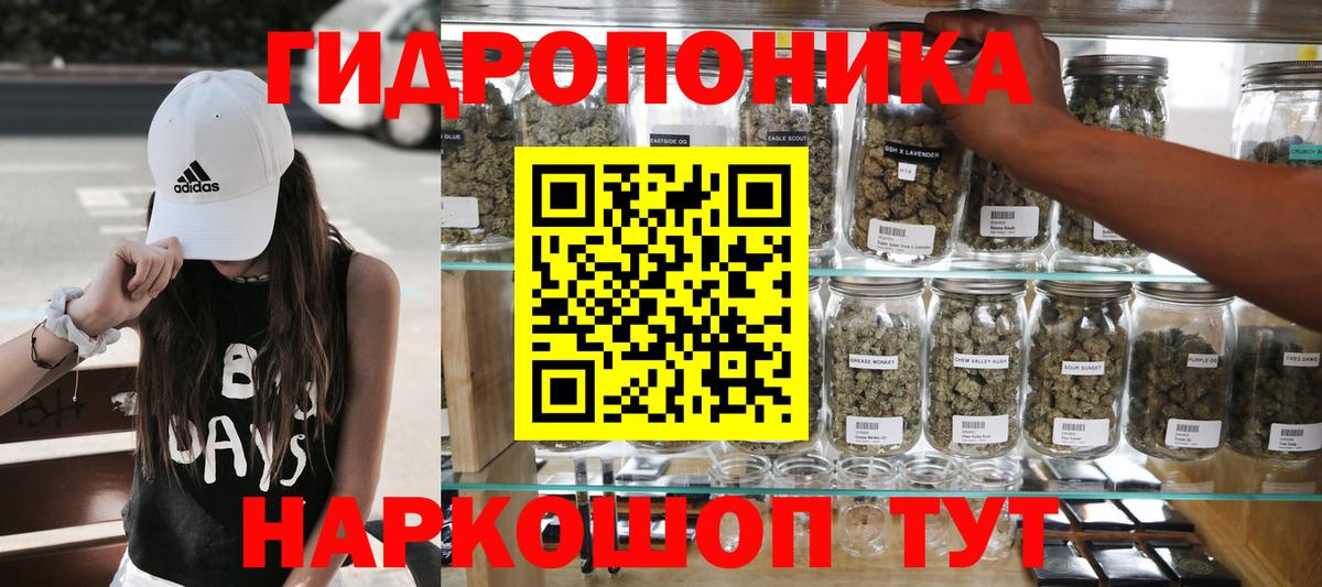 Конопля OG Kush Коряжма